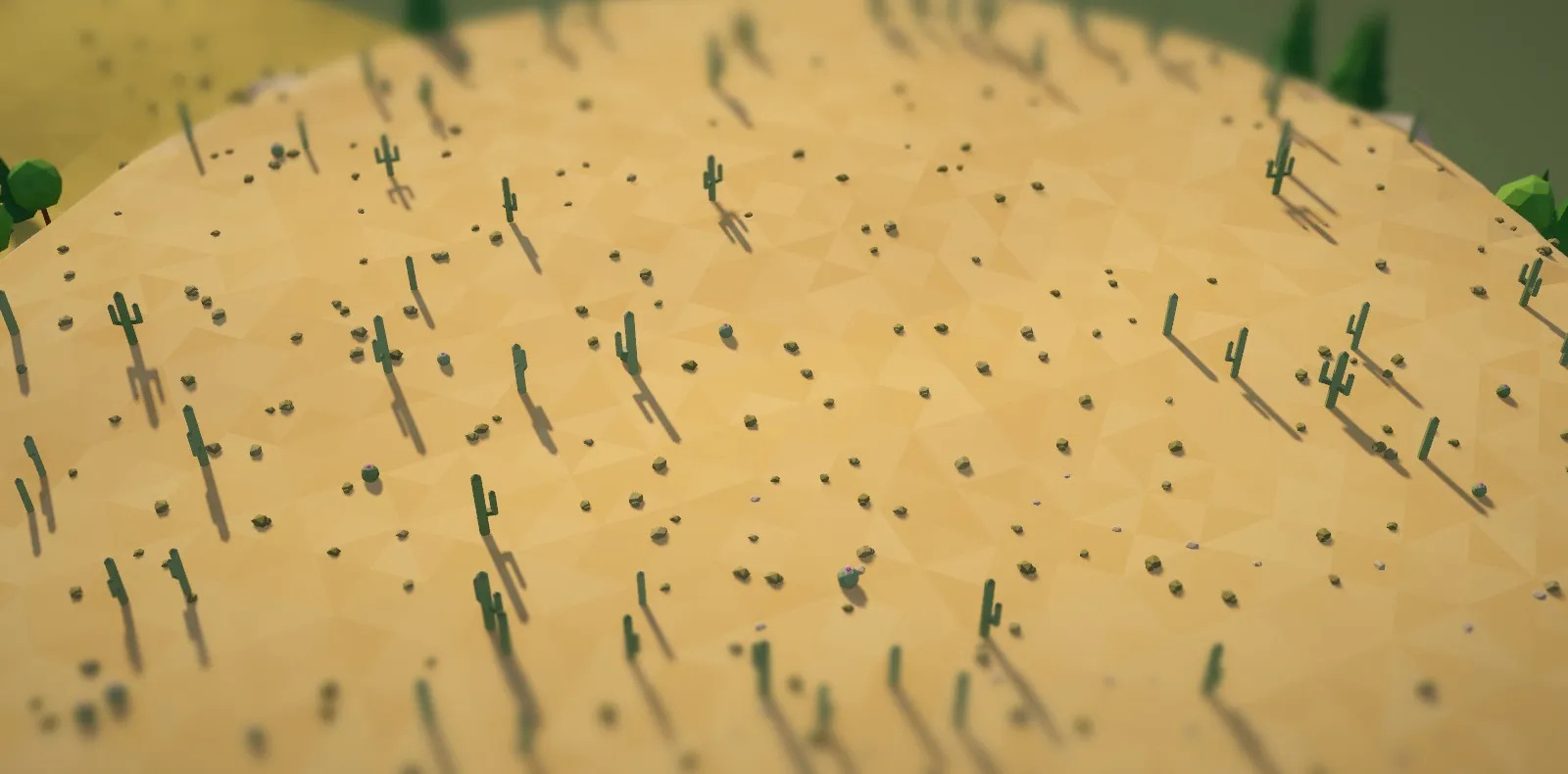 A sandy desert plateau scattered with cacti and stones