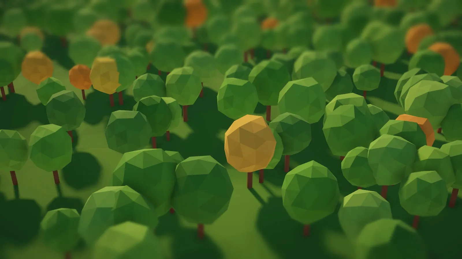 Broadleaf woods up close, faceted trees of several greens on a forest floor